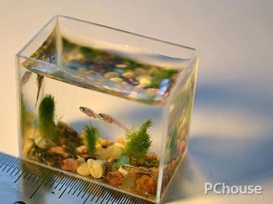 家居風(fēng)水布置 六個(gè)方法助你增添財(cái)運(yùn)