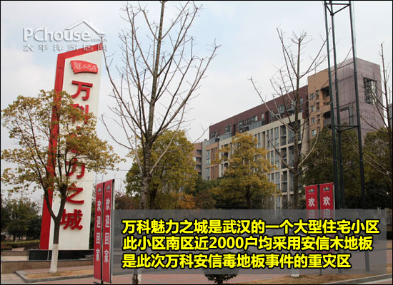 武汉万科安信