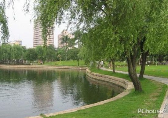 家居風(fēng)水布置 10種庭園植物為你驅(qū)邪運