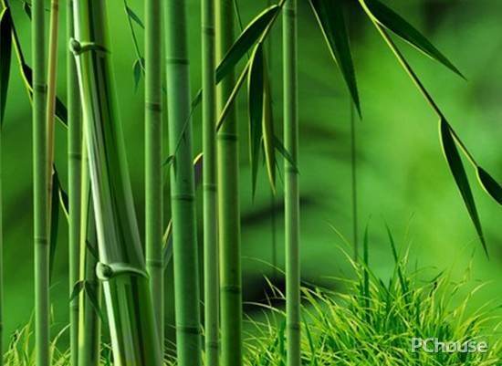 家居裝修風(fēng)水 12星座打造自己的臥室