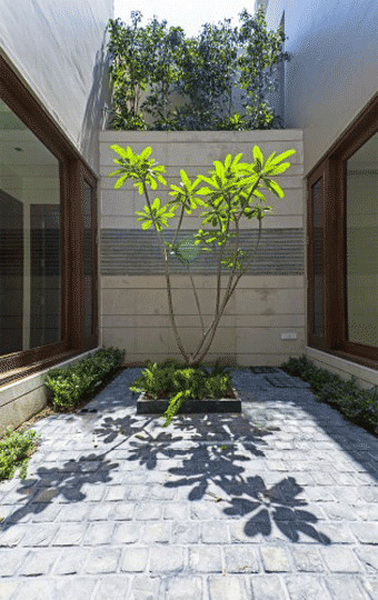 室内设计设计核心:充满生机的绿植给房子带来活力天井的利用方法之一