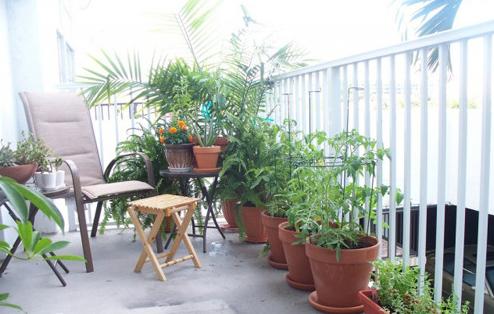 8个阳台经典改造 绿意盎然的空中花园