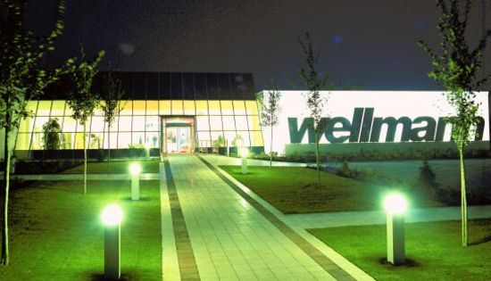 wellmannļ(gu)Ѫy(tng)