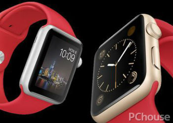 Apple Watch Sportڰʹ˵