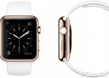 Apple Watch Editionʹ˵