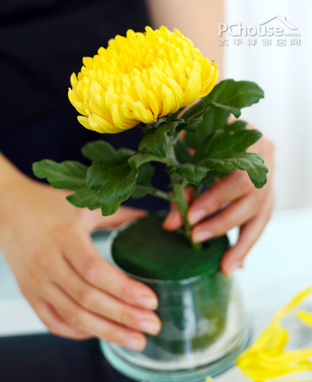植物殺手也能用 這是一份新年插花良心指南