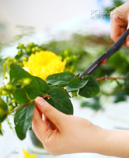 植物殺手也能用 這是一份新年插花良心指南