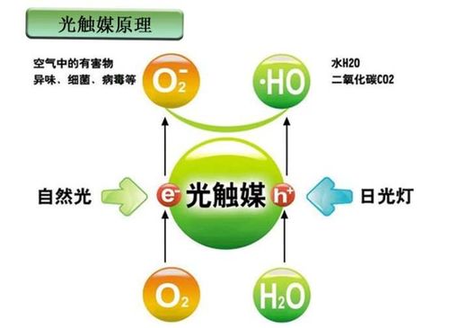 光触媒的原理_光触媒分解原理图(2)