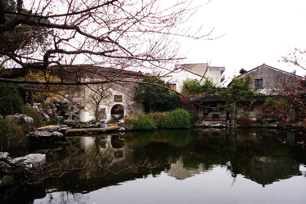 同樣過中式生活 為何你沒有蘇州教授的146萬(wàn)關(guān)注？