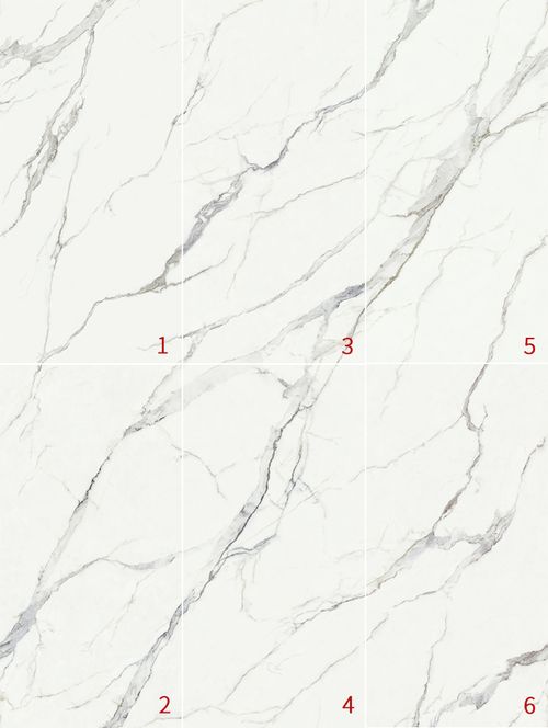 1-林肯白