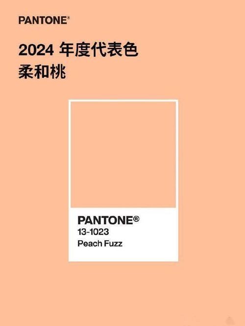 2024年室内装饰新风尚：威泽装饰探索色彩的温柔边界