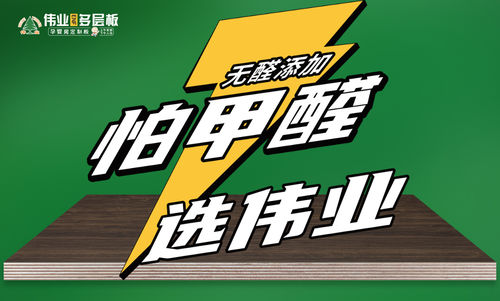 今天伟业牌ENF板PG电子平台材亮相赣州(图2)