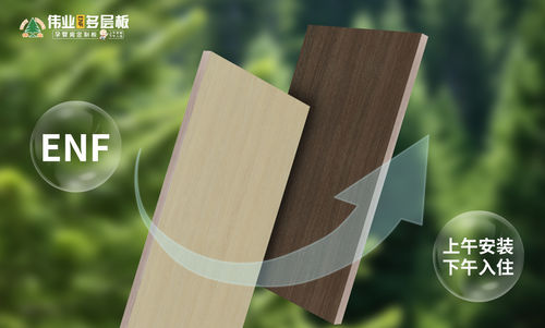 今天伟业牌ENF板PG电子平台材亮相赣州(图4)