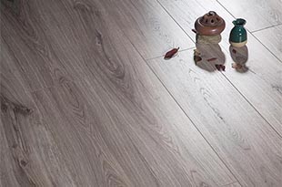 地板也要无毒环保 水性科天莱尔橡木强化地板评测