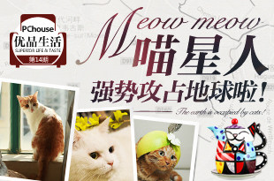 喵星人强势攻占地球啦