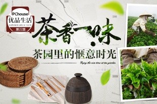 茶香一味 茶园里的惬意时光