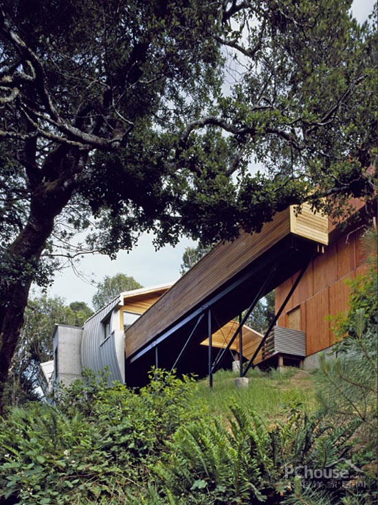 树上建房子设计 72186_invernessresidence_02.jpg