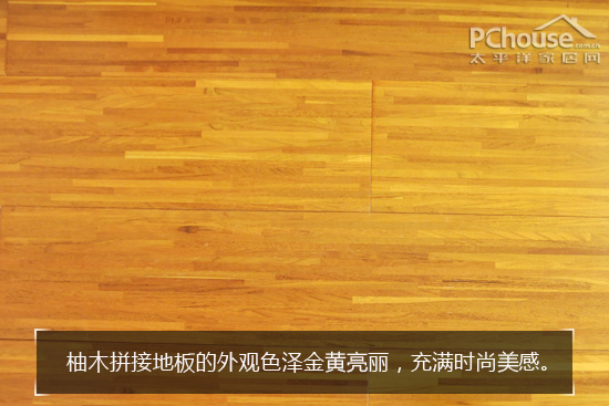 金刚鹦鹉