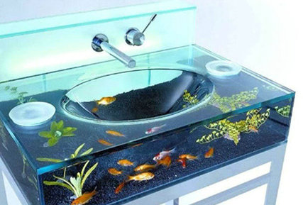浴缸改造鱼缸创意图片