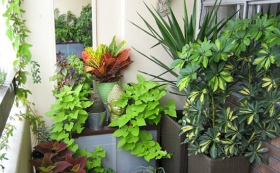 唱响黑白配 喧闹都市时尚简约新居