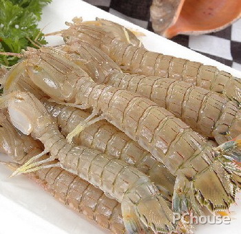 孕妇能吃皮皮虾吗