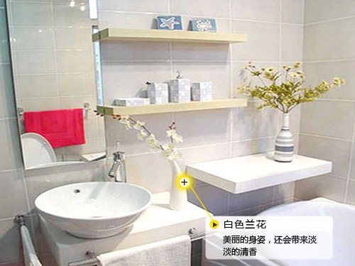 巧用色彩与植物 打造缤纷精彩卫浴