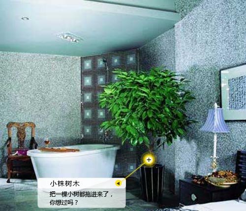巧用色彩与植物 打造缤纷精彩卫浴