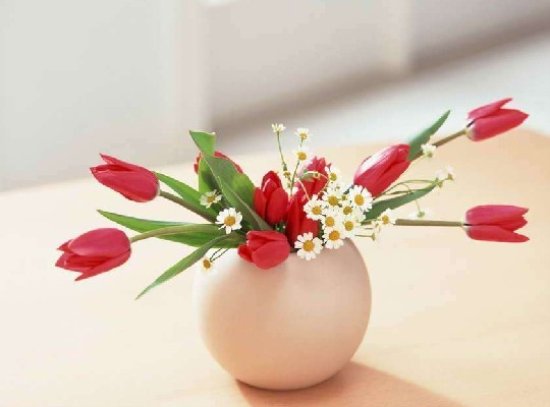局部装饰 室内花卉植物大集锦