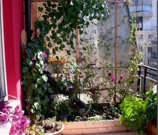 家居装修DIY 花园阳台设计