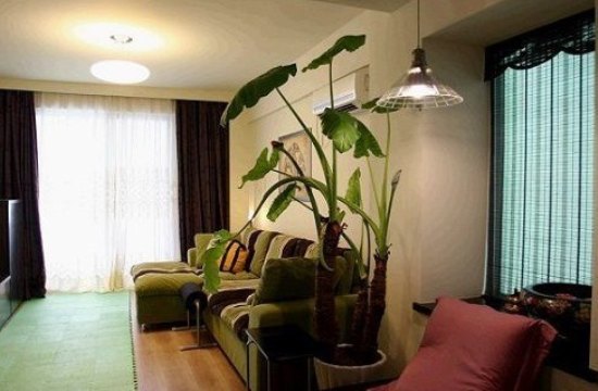 网友家装装饰 打造简约40平温馨小窝