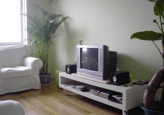 1万6室内装饰 打造绿色清新的温馨小屋