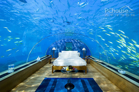 惊人的全玻璃海底餐厅 马尔代夫度假酒店