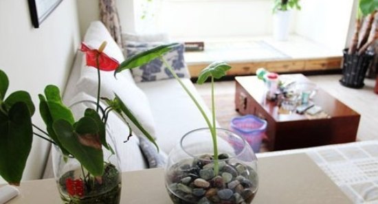 一些中式一些混搭 95平温馨三室两厅