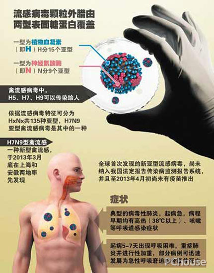 H7N9的发病症状