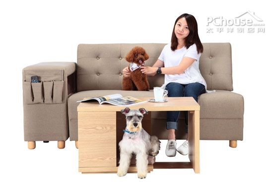 宠物沙发、茶几