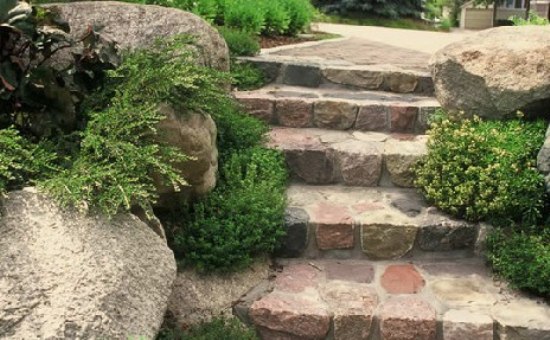 局部装饰杂草精神 草本植物为家居添绿意