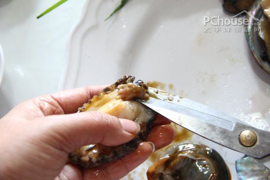 剪掉鲍鱼一端的牙齿