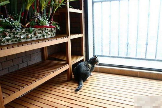 三室一厅 16图晒装修美家看花眼