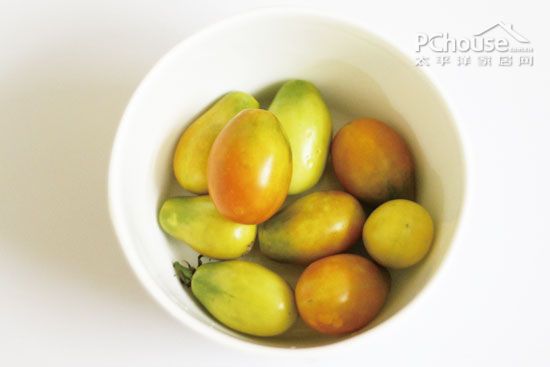 番茄的种植