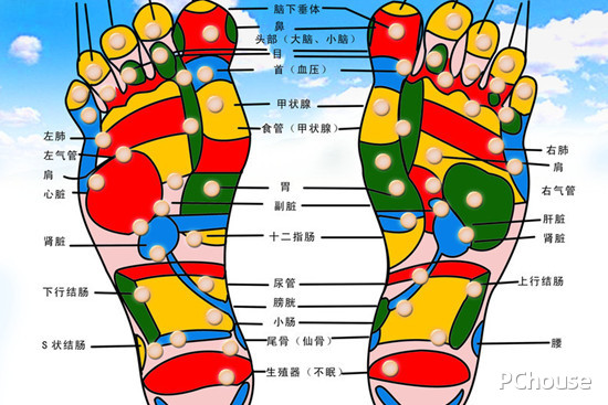 腳底按摩器有用嗎 腳底按摩器品牌介紹