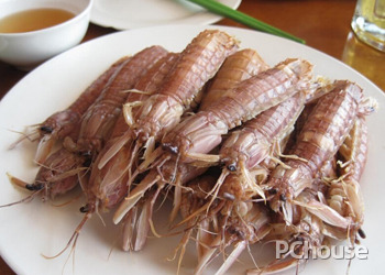 螳螂虾的介绍