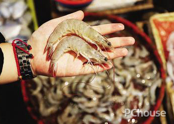 脊尾白虾的营养价值