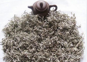 茅岩莓茶是什么