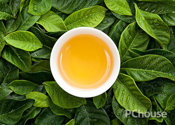 中国名茶的种类有哪些