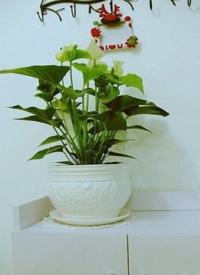 网购达人 2万装一室一厅宜家简约屋