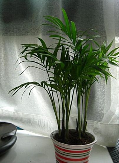 巧设隔断改造小屋 30平装出二室一厅
