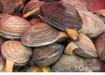 食用紫石房蛤的注意事项