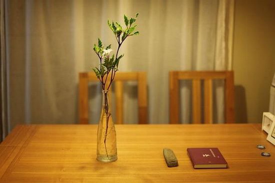 新婚夫妻小资情趣家 享受着生活乐趣