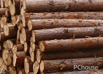 杉木板材的优缺点