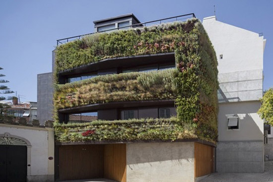 有创意的建筑设计：灌木丛住宅